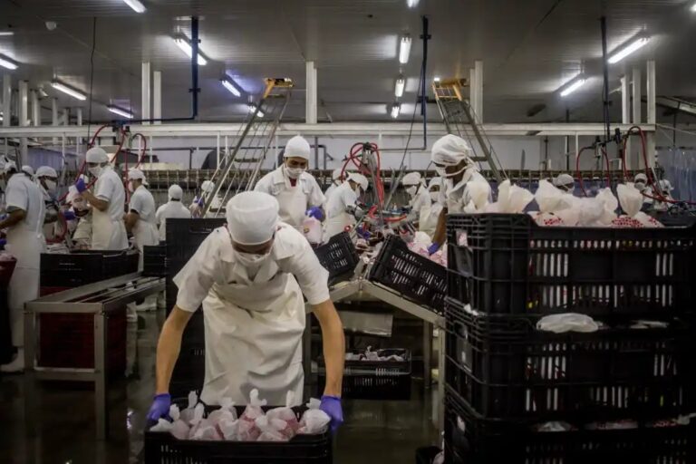 Mil Pollos apuesta por la innovación con nuevos productos y la exportaciones