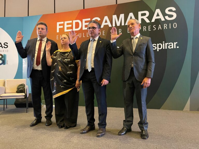 “El Plan Nacional de Inversión y Empleo es un hecho”: Felipe Capozzolo es el nuevo presidente de Fedecámaras