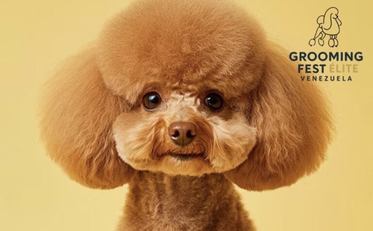 Llega el primer Grooming Fest Venezuela: un evento único para los amantes del cuidado animal