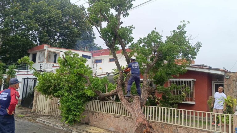 I.A.M. Fumcosandi y Bomberos de San Diego actuaron con rapidez ante emergencia por la caída de una árbol gracias al reporte de “Dieguito”