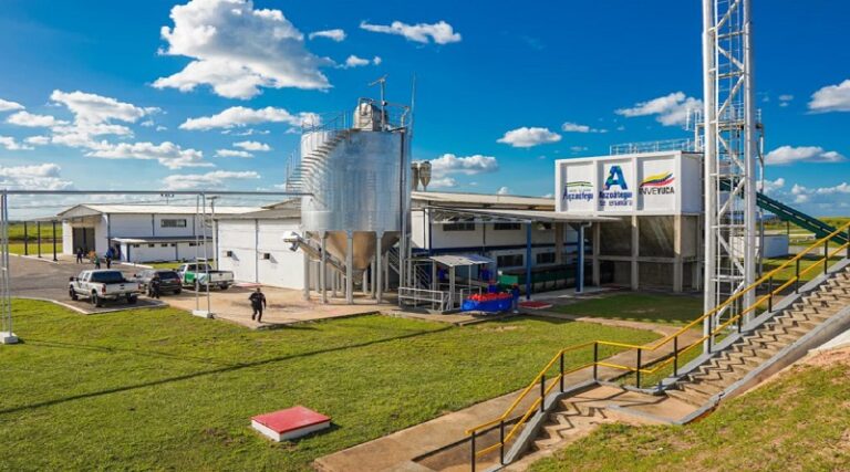 Inveyuca suministra más del 70 % de almidón para el consumo nacional