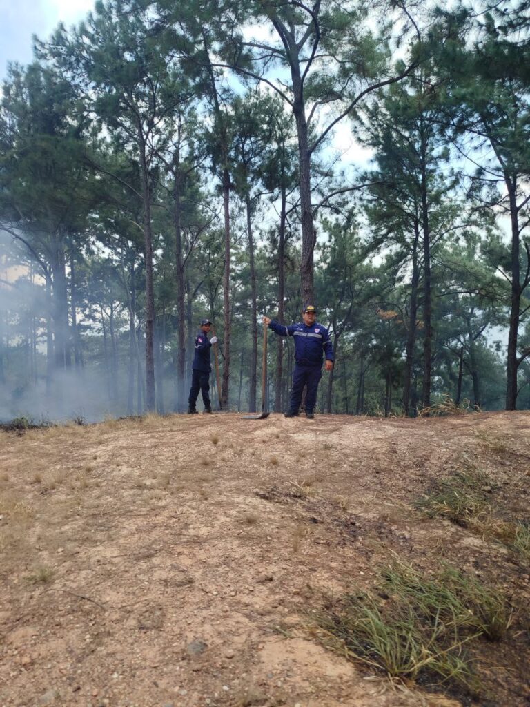 Gobierno de Carabobo realizará ampliación de equipos de respuesta contra incendios forestales en Cerro El Café
