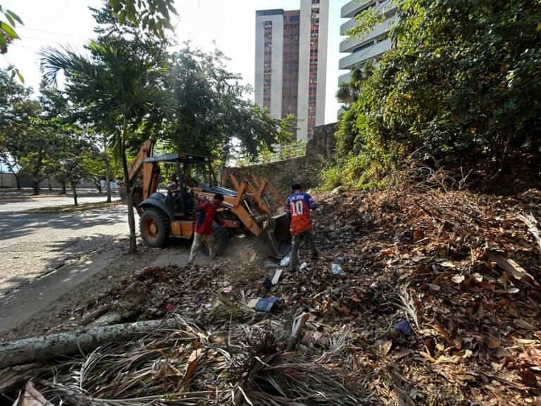 Beneficiadas más de 11 mil familias con jornadas de recolección de desechos en Valencia