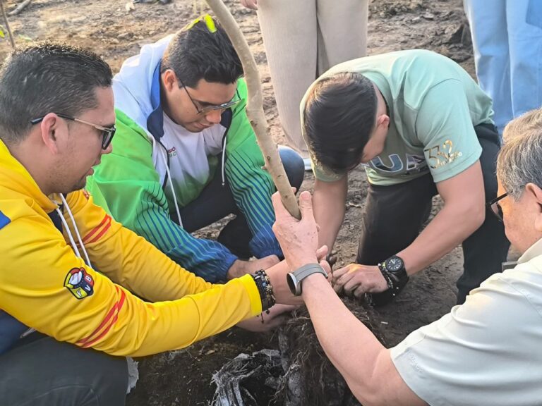 Sembrados más de 300 árboles por 332° aniversario de Guacara