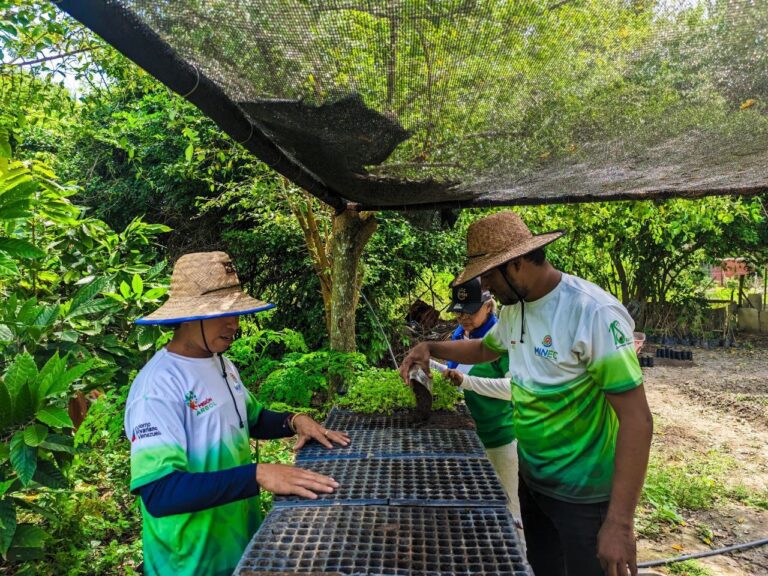 Avanzan trabajos de producción de más de 5 mil plantas forestales en Juan José Mora